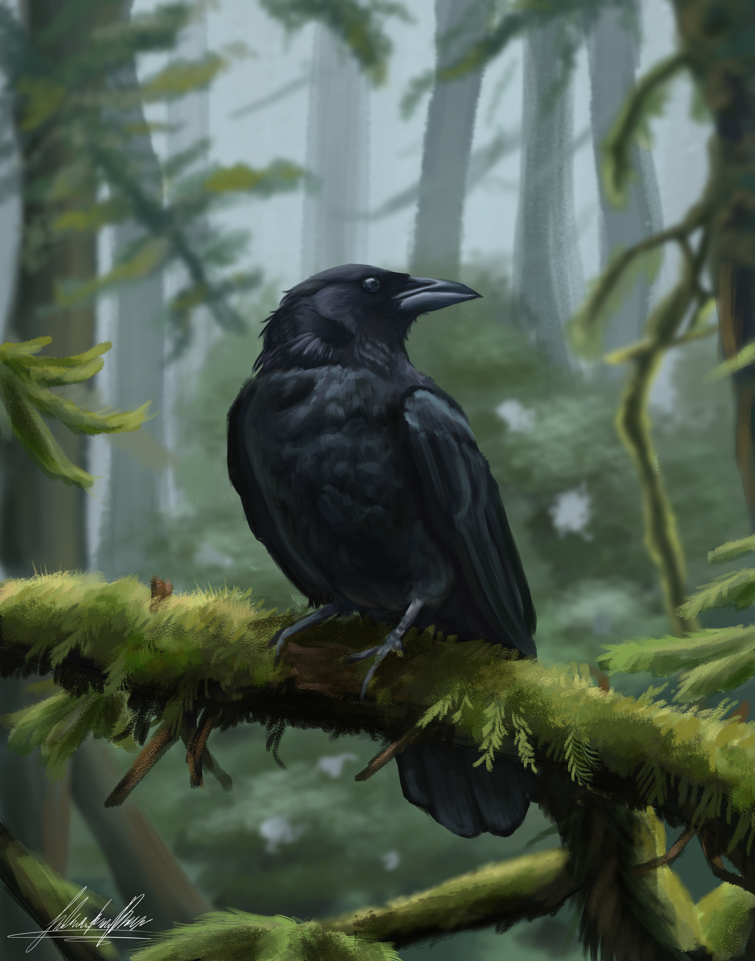 CROW PRINT